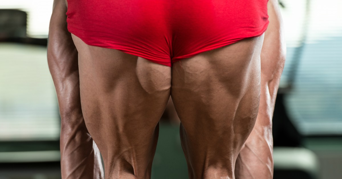 Muscoli posteriori della coscia